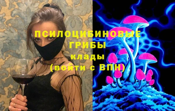 гашик Нефтекумск