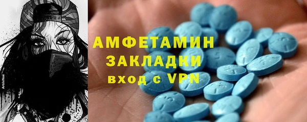 индика Надым