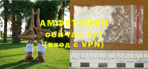 индика Надым