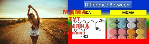 молекула духа Дмитриев