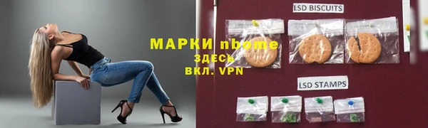 индика Надым