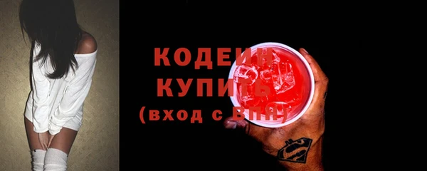 индика Надым