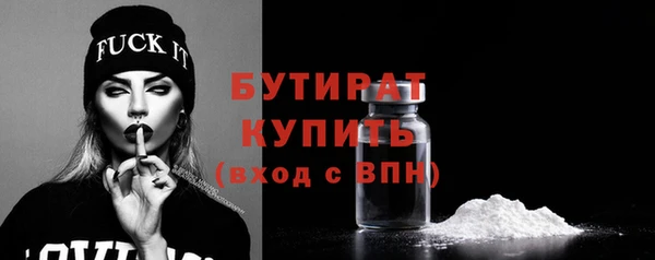 индика Надым