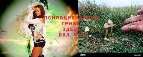 индика Надым