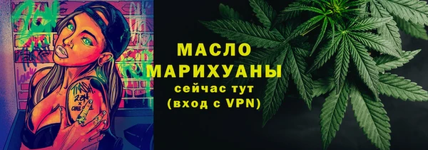 индика Надым
