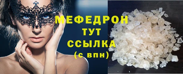 индика Надым