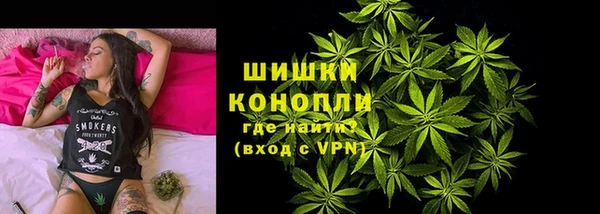 индика Надым