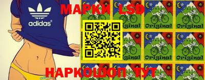 гашик Будённовск