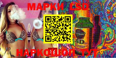 гашик Будённовск