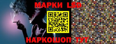 гашик Будённовск