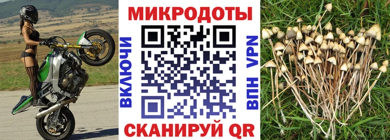 Галлюциногенные грибы Magic Shrooms  Кумертау 